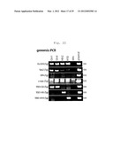 NOVEL NUCLEAR REPROGRAMMING SUBSTANCE diagram and image