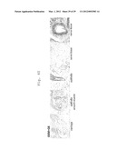 NOVEL NUCLEAR REPROGRAMMING SUBSTANCE diagram and image