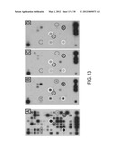 Methods for Detecting Signatures of Disease or Conditions in Bodily Fluids diagram and image