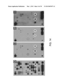 Methods for Detecting Signatures of Disease or Conditions in Bodily Fluids diagram and image