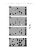 Methods for Detecting Signatures of Disease or Conditions in Bodily Fluids diagram and image