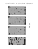 Methods for Detecting Signatures of Disease or Conditions in Bodily Fluids diagram and image