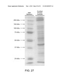 Methods for Detecting Signatures of Disease or Conditions in Bodily Fluids diagram and image