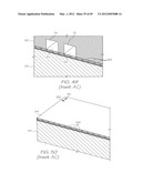 MICROFLUIDIC TEST MODULE FOR BIOCHEMICAL PROCESSING AND ANALYSIS diagram and image