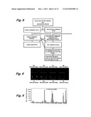 ANALYZER FOR GLYCAN OR COMPLEX CARBOHYDRATE diagram and image