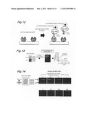 ANALYZER FOR GLYCAN OR COMPLEX CARBOHYDRATE diagram and image