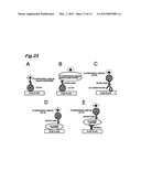 ANALYZER FOR GLYCAN OR COMPLEX CARBOHYDRATE diagram and image