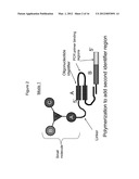 METHODS OF CREATING AND SCREENING DNA-ENCODED LIBRARIES diagram and image