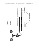 METHODS OF CREATING AND SCREENING DNA-ENCODED LIBRARIES diagram and image