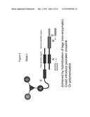 METHODS OF CREATING AND SCREENING DNA-ENCODED LIBRARIES diagram and image