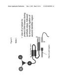 METHODS OF CREATING AND SCREENING DNA-ENCODED LIBRARIES diagram and image