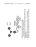 METHODS OF CREATING AND SCREENING DNA-ENCODED LIBRARIES diagram and image