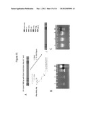 METHODS OF CREATING AND SCREENING DNA-ENCODED LIBRARIES diagram and image