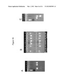 METHODS OF CREATING AND SCREENING DNA-ENCODED LIBRARIES diagram and image