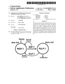 THERAPEUTIC METHOD FOR INCREASING PANCREATIC BETA CELL MASS diagram and image