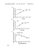 THERAPEUTIC METHOD FOR INCREASING PANCREATIC BETA CELL MASS diagram and image