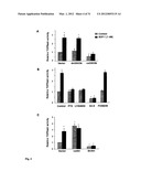 THERAPEUTIC METHOD FOR INCREASING PANCREATIC BETA CELL MASS diagram and image