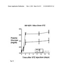 THERAPEUTIC METHOD FOR INCREASING PANCREATIC BETA CELL MASS diagram and image