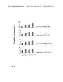 THERAPEUTIC METHOD FOR INCREASING PANCREATIC BETA CELL MASS diagram and image