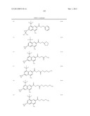 INHIBITORS OF HEPATITIS C VIRUS diagram and image