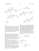 INHIBITORS OF HEPATITIS C VIRUS diagram and image