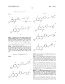 INHIBITORS OF HEPATITIS C VIRUS diagram and image