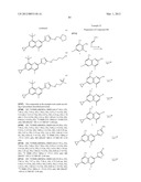 INHIBITORS OF HEPATITIS C VIRUS diagram and image