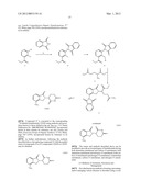 ISOTOPOLOGUES OF LENALIDOMIDE diagram and image