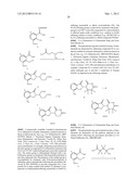 ISOTOPOLOGUES OF LENALIDOMIDE diagram and image