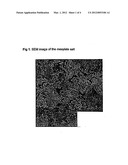 SALTS OF 3-(1H-IND0L-3-YL)-4-[2-(4-METHYL-PIPERAZIN-I-YL)-QUINAZOLIN-4-YL]-    -PYRROLE-2, 5-DI ONE diagram and image