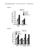 miR-33 INHIBITORS AND USES THEREOF diagram and image