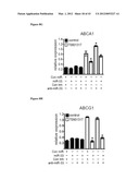 miR-33 INHIBITORS AND USES THEREOF diagram and image