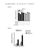 miR-33 INHIBITORS AND USES THEREOF diagram and image