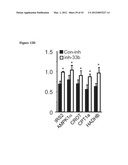 miR-33 INHIBITORS AND USES THEREOF diagram and image