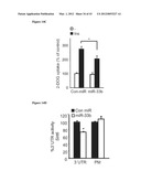 miR-33 INHIBITORS AND USES THEREOF diagram and image