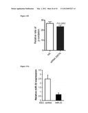 miR-33 INHIBITORS AND USES THEREOF diagram and image