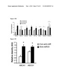 miR-33 INHIBITORS AND USES THEREOF diagram and image