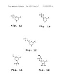 SPLICE-REGION ANTISENSE COMPOSITION AND METHOD diagram and image