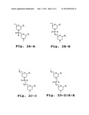 SPLICE-REGION ANTISENSE COMPOSITION AND METHOD diagram and image