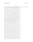 ISOLATED GENOMIC POLYNUCLEOTIDE FRAGMENTS FROM THE p15 REGION OF ISOLATED     GENOMIC POLYNUCLEOTIDE FRAGMENTS FROM THE p15 REGION OF CHROMOSOME 11     ENCODING HUMAN TUMOR SUPPRESSING SUBTRANSFERABLE CANDIDATE 4 (TSSC4) diagram and image