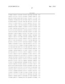 ISOLATED GENOMIC POLYNUCLEOTIDE FRAGMENTS FROM THE p15 REGION OF ISOLATED     GENOMIC POLYNUCLEOTIDE FRAGMENTS FROM THE p15 REGION OF CHROMOSOME 11     ENCODING HUMAN TUMOR SUPPRESSING SUBTRANSFERABLE CANDIDATE 4 (TSSC4) diagram and image