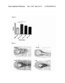 Methods of Treating Hair Related Conditions diagram and image