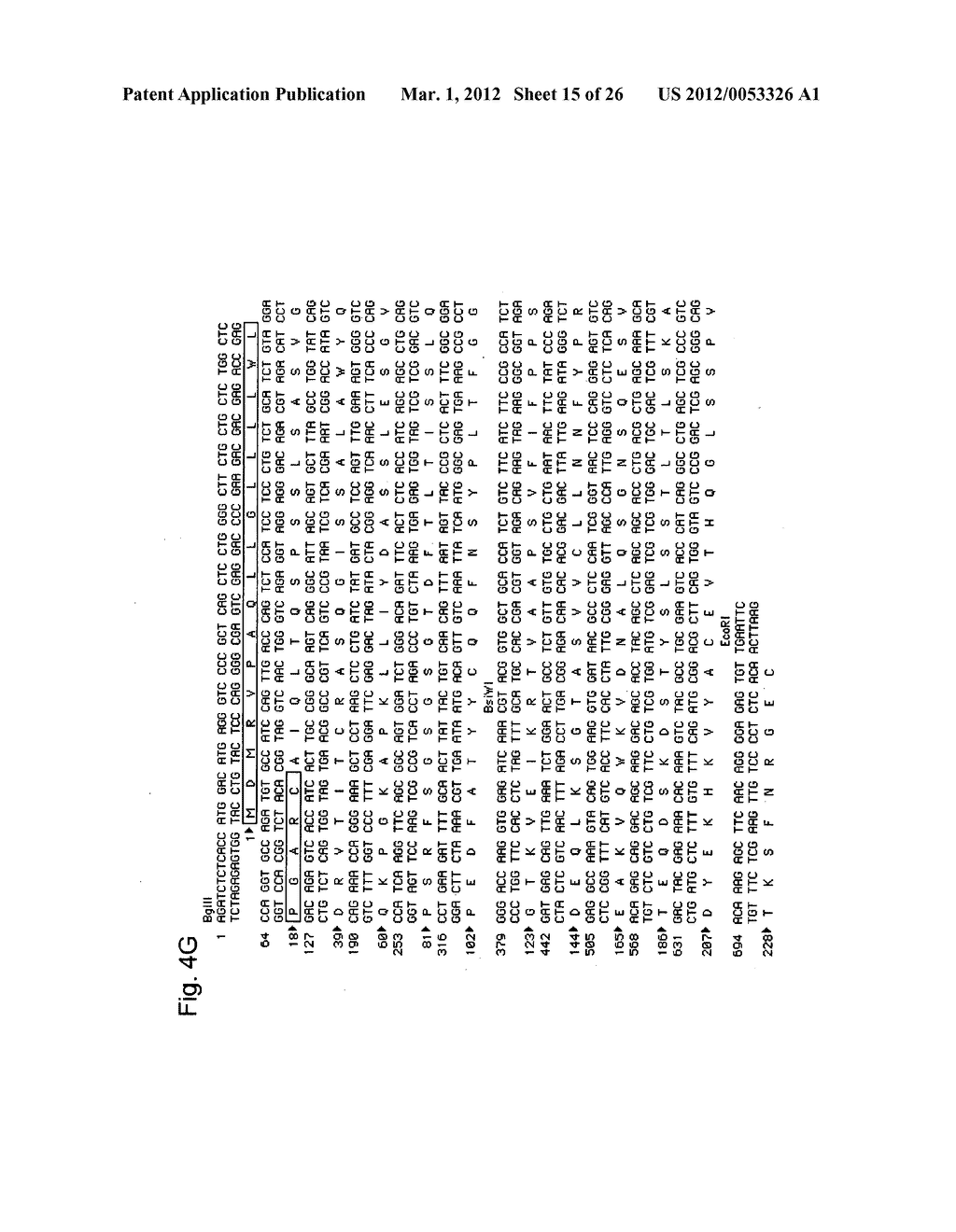 AGONIST ANTIBODY TO HUMAN THROMBOPOIETIN RECEPTOR - diagram, schematic, and image 16