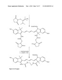 Aptamer conjugates diagram and image