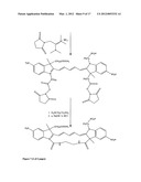 Aptamer conjugates diagram and image