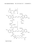 Aptamer conjugates diagram and image