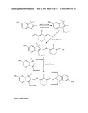 Aptamer conjugates diagram and image