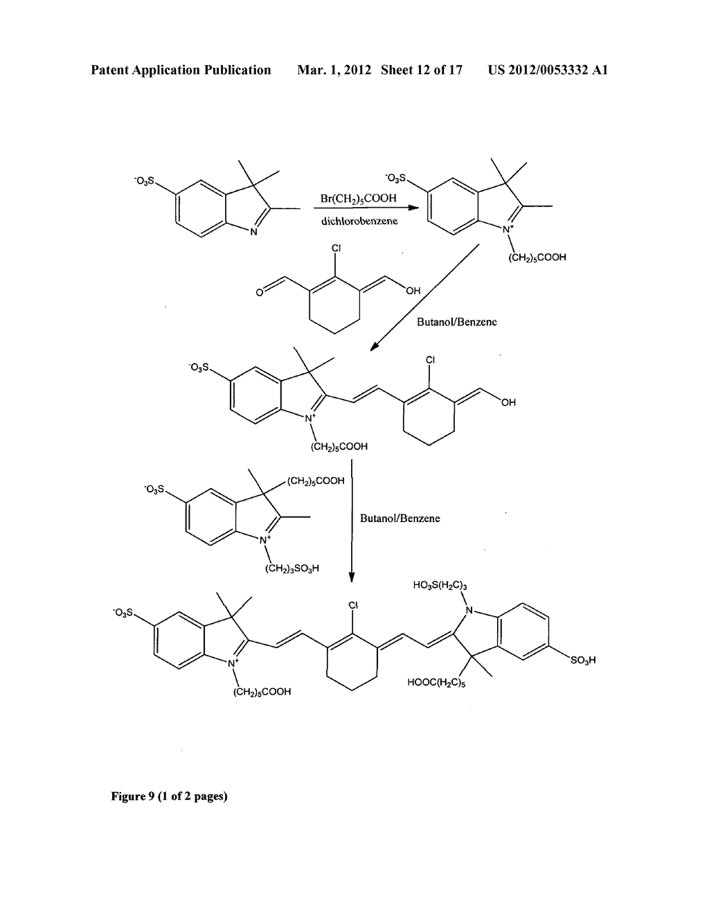 Aptamer conjugates - diagram, schematic, and image 13