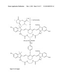 Aptamer conjugates diagram and image