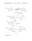 Aptamer conjugates diagram and image